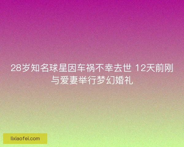 28岁知名球星因车祸不幸去世 12天前刚与爱妻举行梦幻婚礼